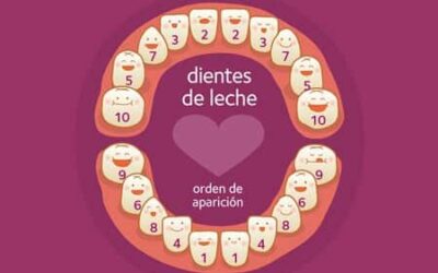 ¿Sabes en qué orden se produce la erupción de los dientes en los niños?